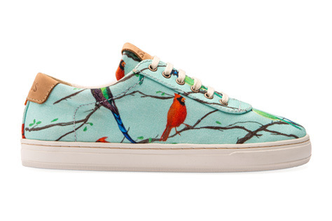 Featured co 6 sneakers birds